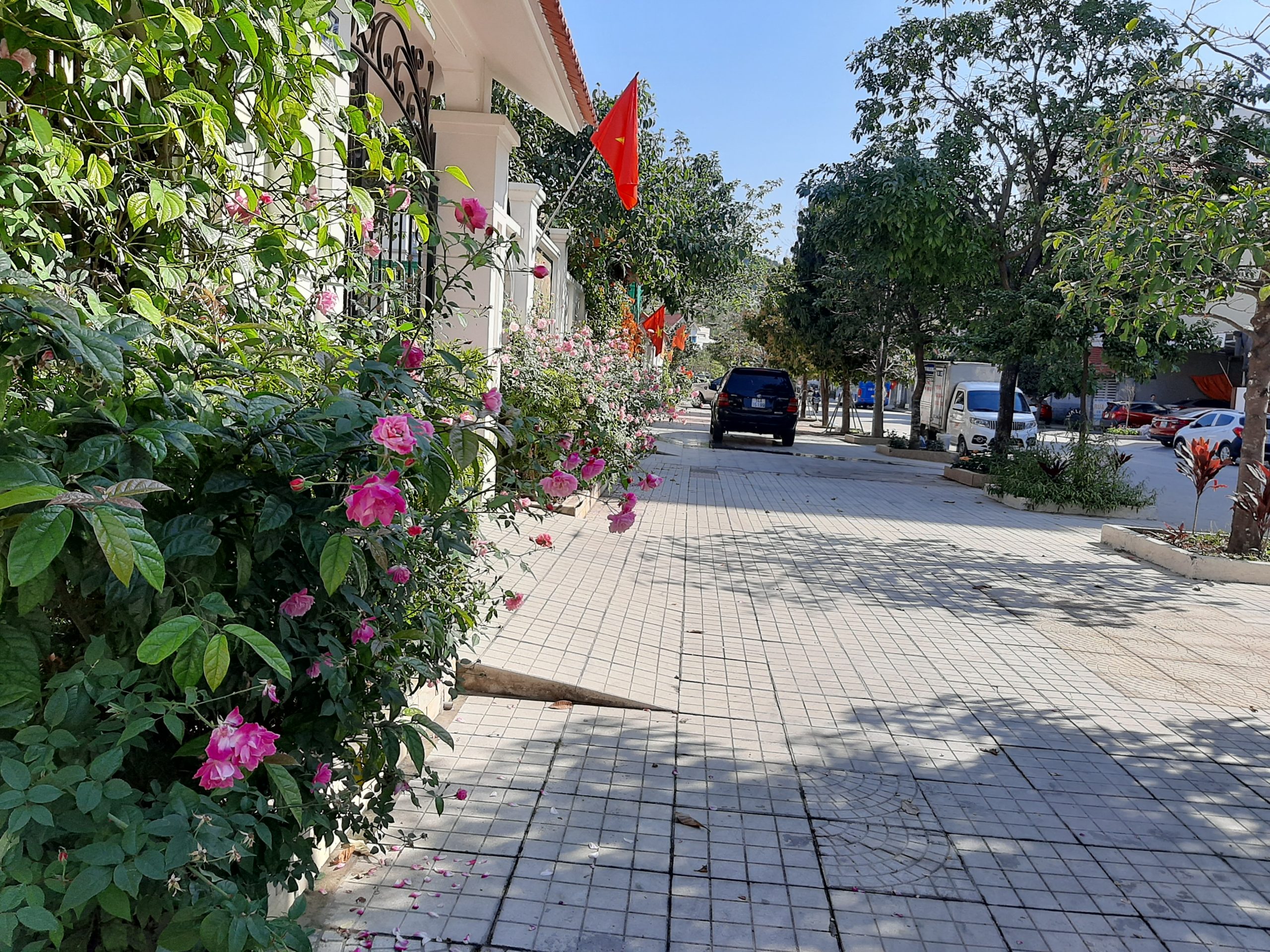 Street corner